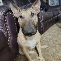 MrsAfromAroundtheWay